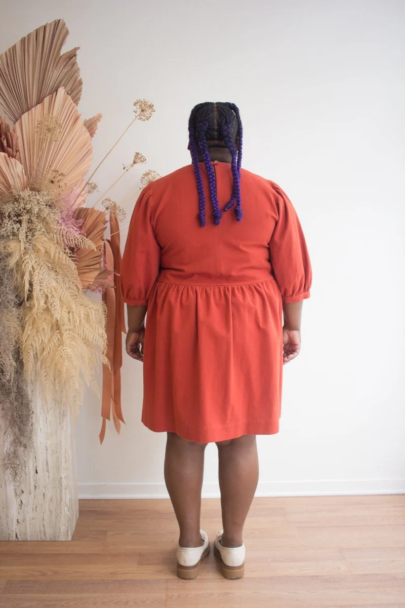 Birds of North America Flowerpiercer Dress (Rust) (Online Exclusive) - Image 4