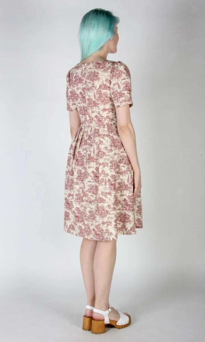 Birds of North America Winter Chippy Dress - Brick Village Toile (Online Exclusive) - Image 4