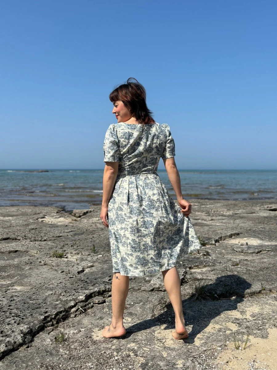 Birds of North America Winter Chippy Dress - Navy Village Toile (Online Exclusive) - Image 4