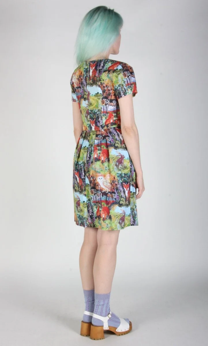 Birds of North America Fruit Dove Dress - Hedgerow (Online Exclusive) - Image 11