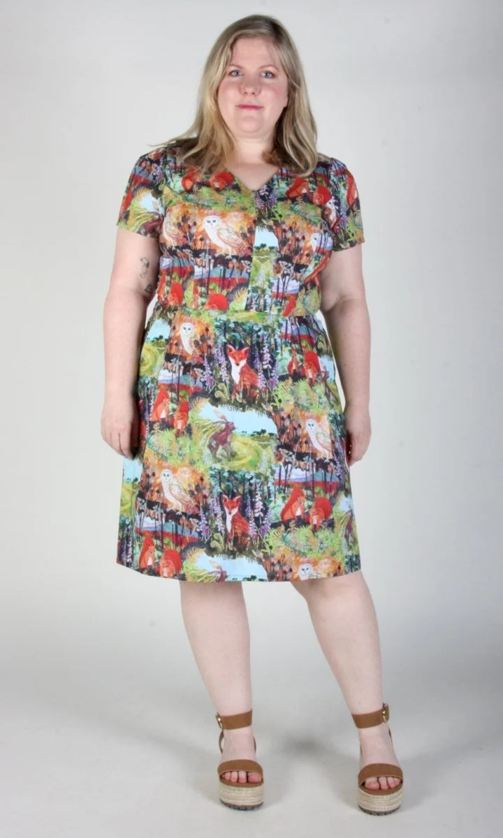 Birds of North America Fruit Dove Dress - Hedgerow (Online Exclusive) - Image 14