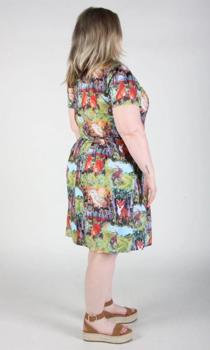 Birds of North America Fruit Dove Dress - Hedgerow (Online Exclusive) - Image 15