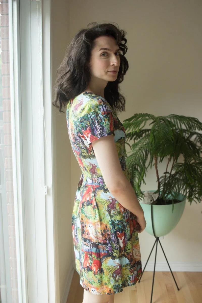 Birds of North America Fruit Dove Dress - Hedgerow (Online Exclusive) - Image 2
