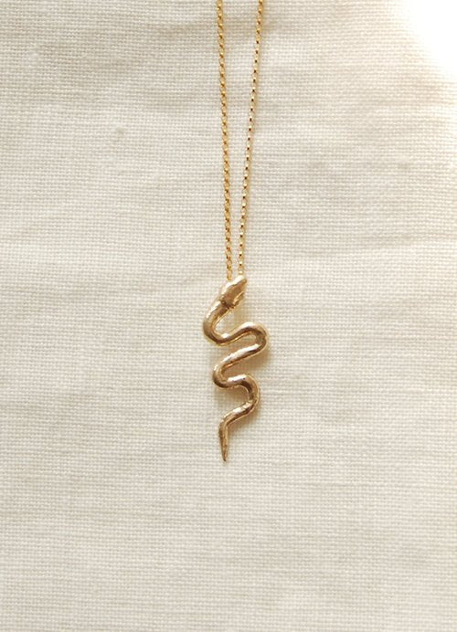 Hawkly Serpent Necklace (Bronze or Silver) - Image 4